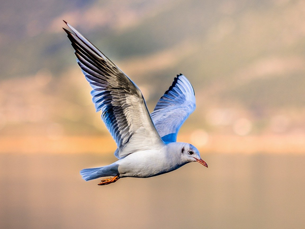 Benzersiz fotoğraflar ve videolar çekin